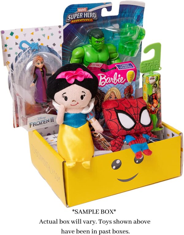 Caja De Suscripción De Juguetes Seleccionada A Mano - Toy Box